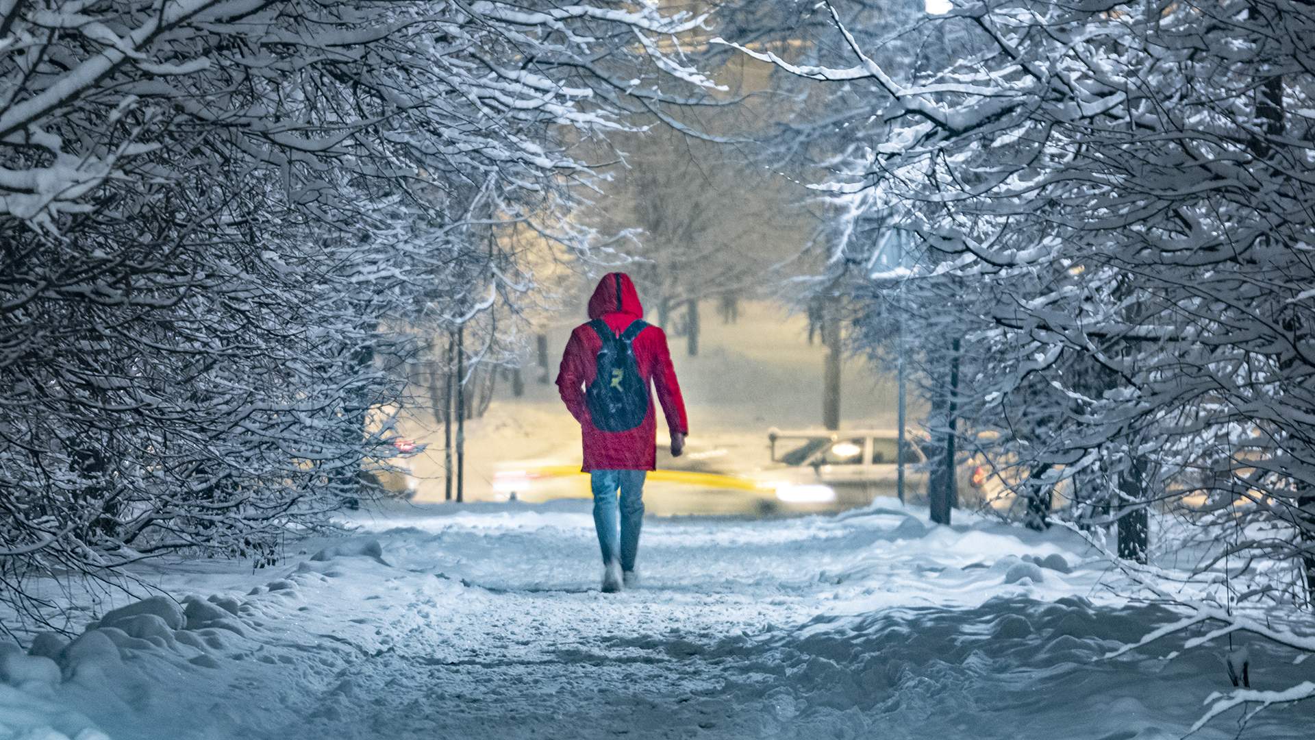 22 декабря День зимнего солнцестояния